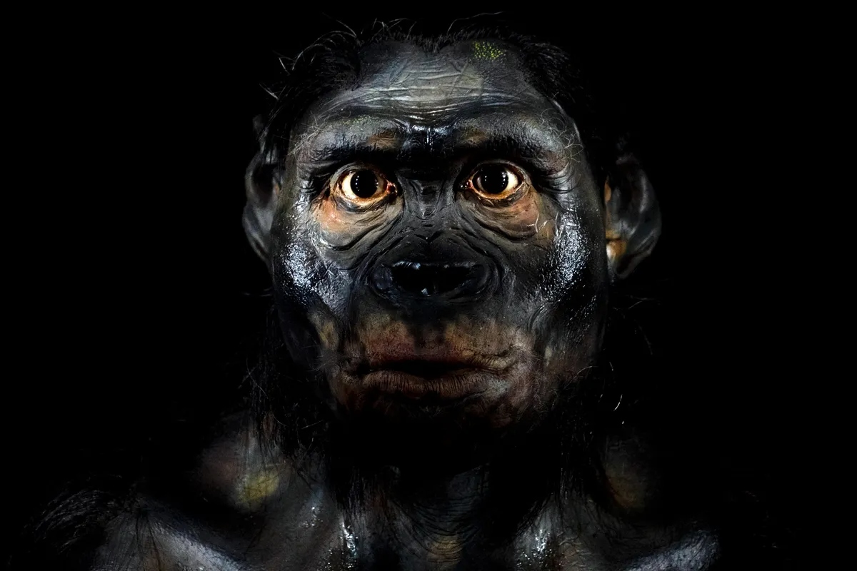 superarchaic hominin l