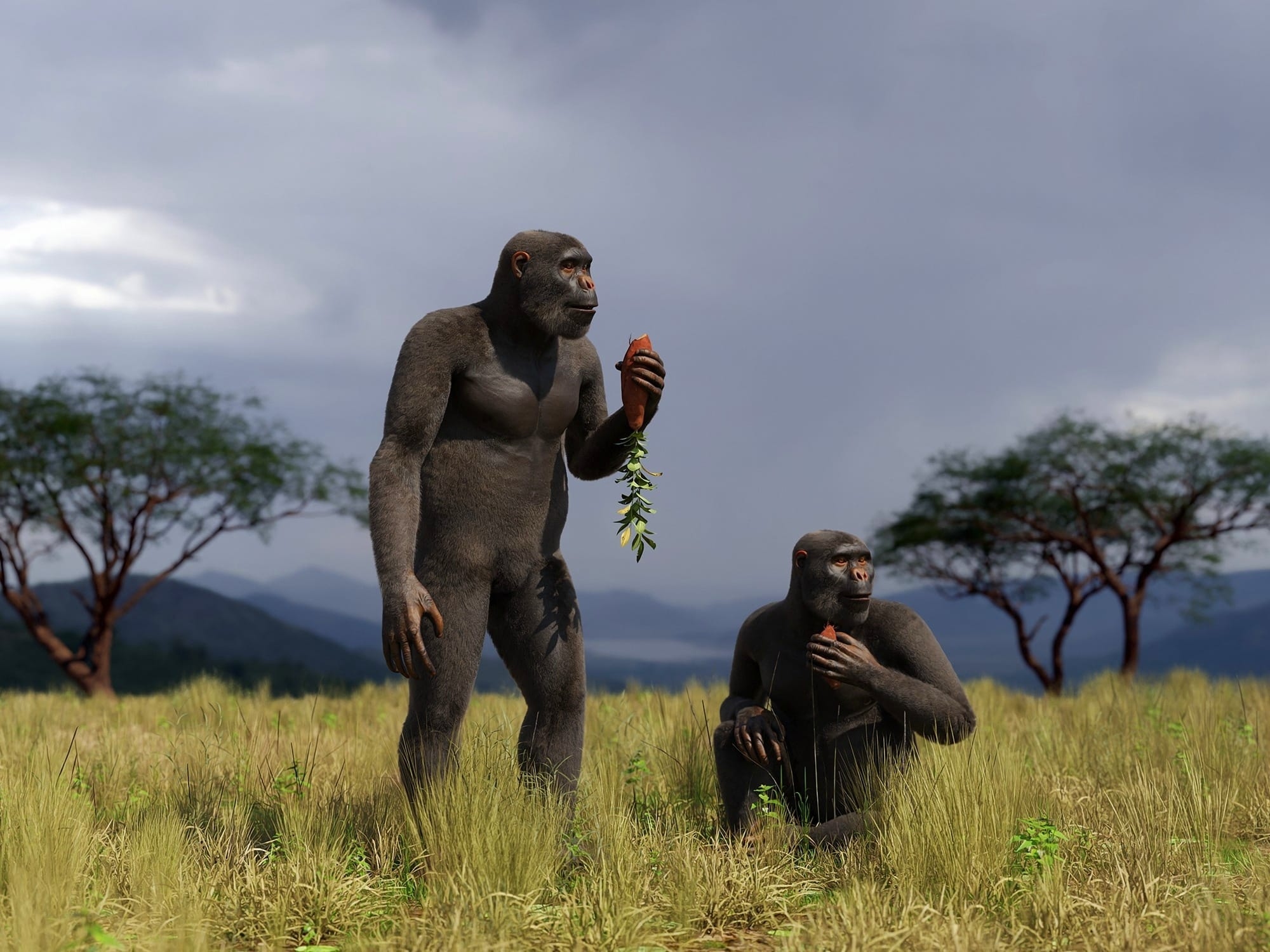 494069184123001821579863567503