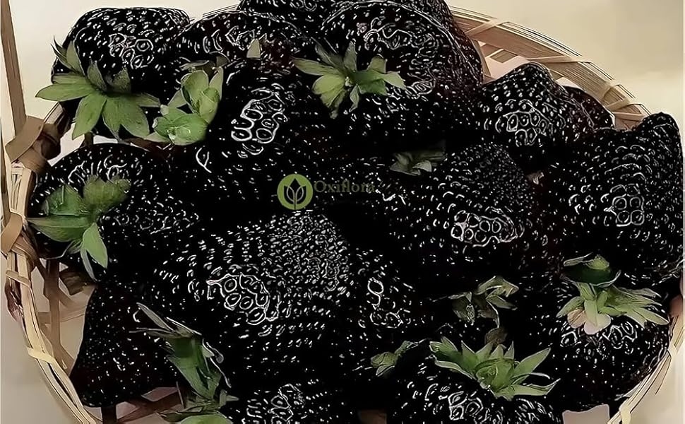 dbe56eeb d4d7 4aab a745 fd316792