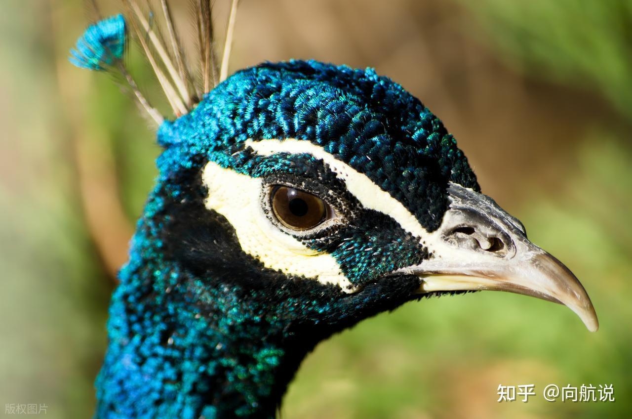 v2 09a8e908f5c860fdf349e2fd6556c