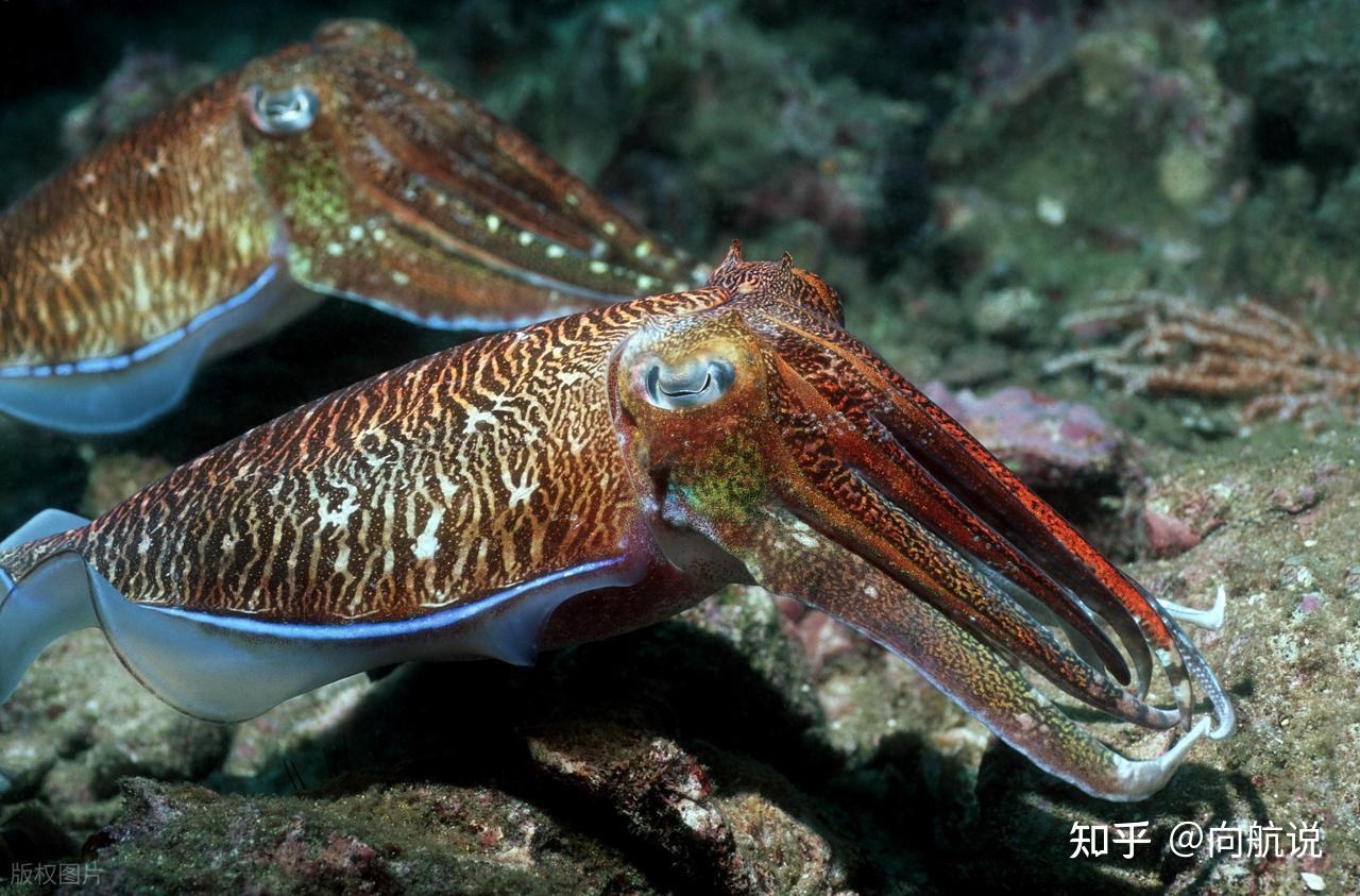 v2 1bbad2cf8a8abb881d1e4bd963b89