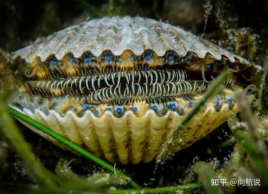 v2 459ab1b00c88dbf861e5327978a5e