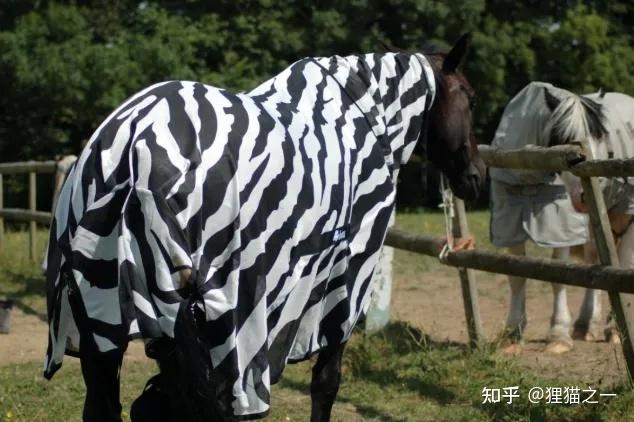 v2 4867e29d94251a6aa57ab7114cb82