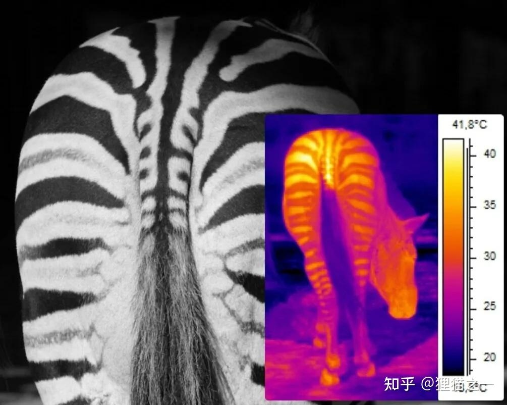 v2 5a66f9a8f76cfc90f23692f148cb0