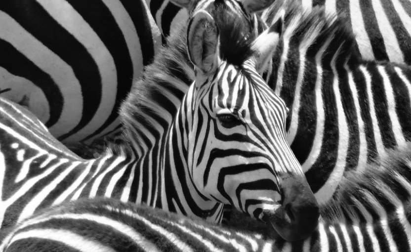 v2 6c57a7258b141ed5e4e0c999865d5