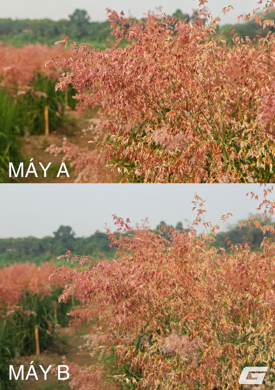 so sanh leica leitzphone vs galaxy s26 ultra genk img20260406154826 down so sanh leica leitzphone vs galaxy s26 ultra genk img20260406154826 down