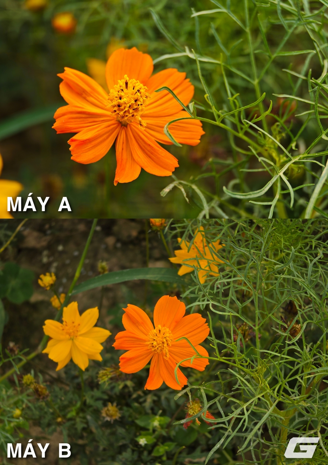 so sanh leica leitzphone vs galaxy s26 ultra genk so sanh leica leitzphone vs galaxy s26 ultra genk img20260406154432 down so sanh leica leitzphone vs galaxy s26 ultra genk so sanh leica leitzphone vs galaxy s26 ultra genk img20260406154432 down