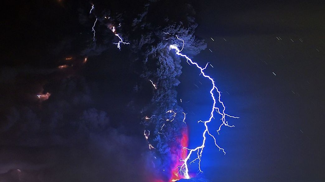 1466095317 cover image l