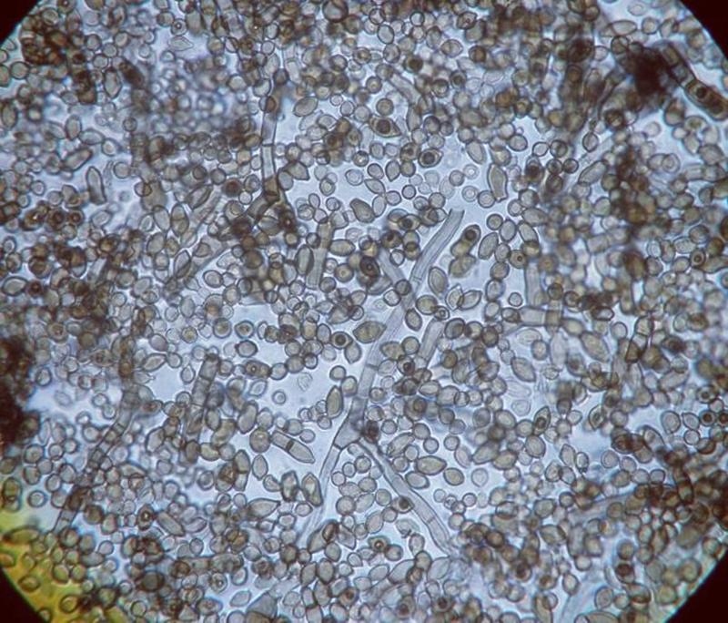 v2 7e8462e046f42c954a8255e27f382