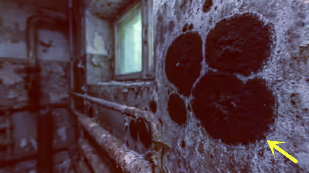 v2 ed94d7d1b872d407f2723406f98c0