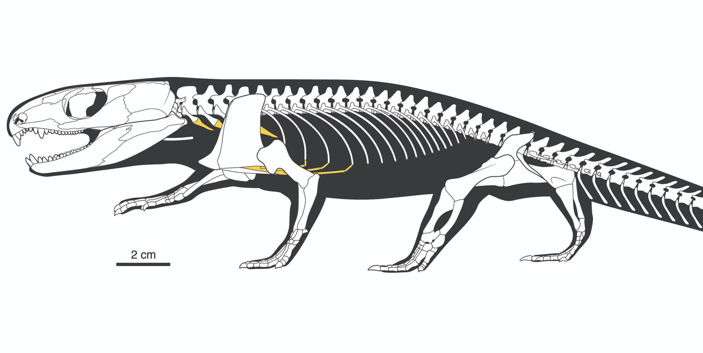 the oldest breath a 30 1