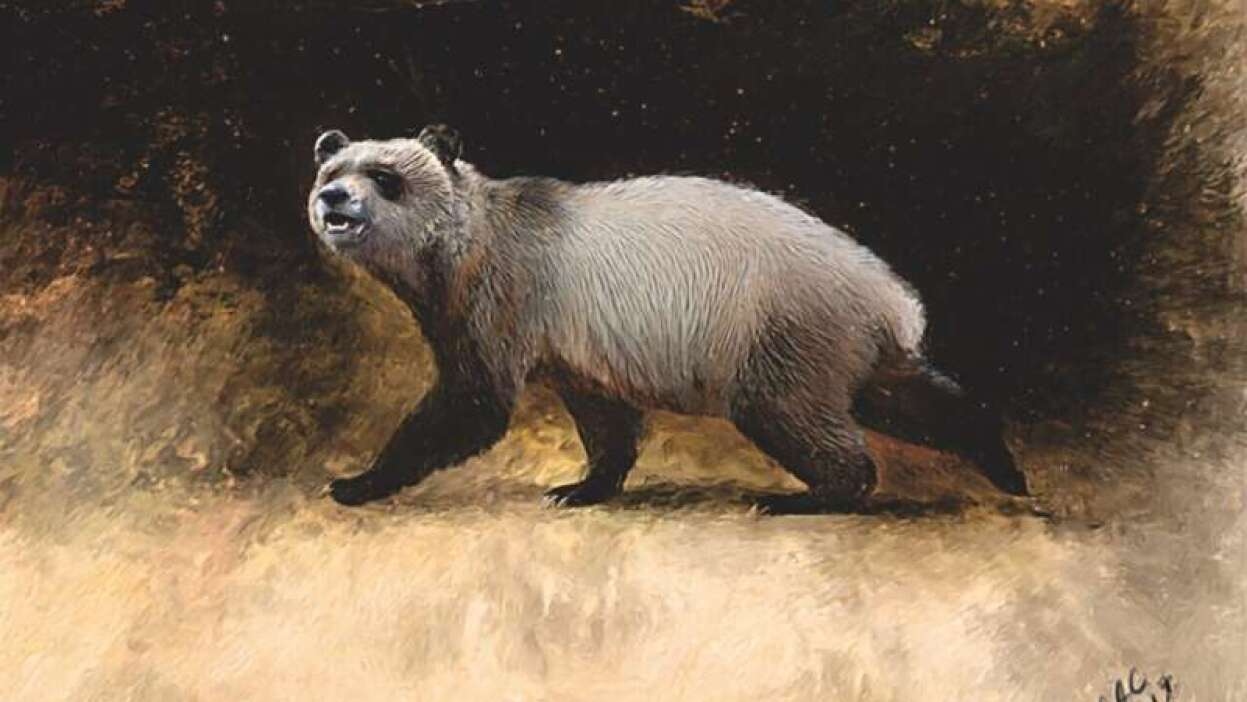 hero imagefillsize1248x702v1 1