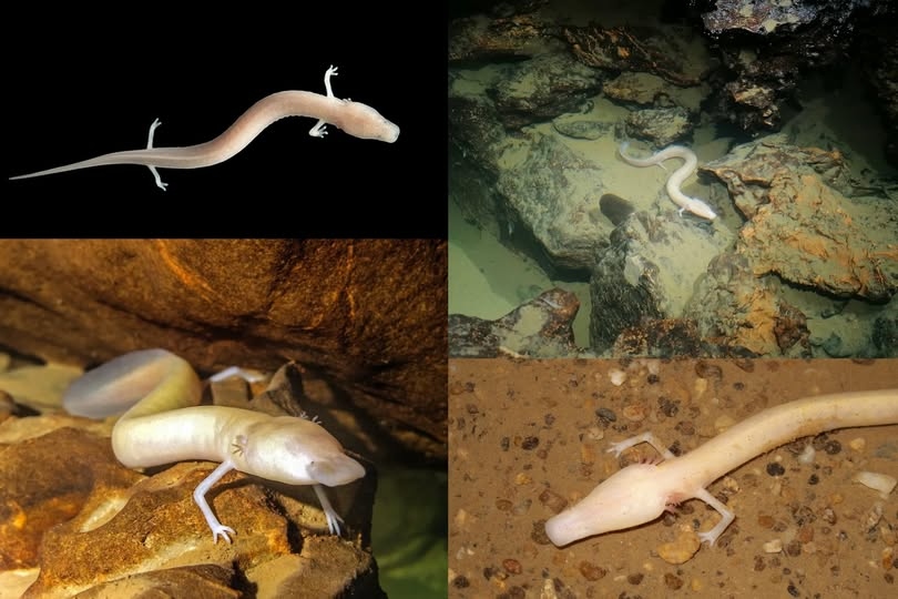 585159302139012942646166424784