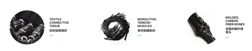 v2 acfc084155f9e4a4ccdcbe446a82a