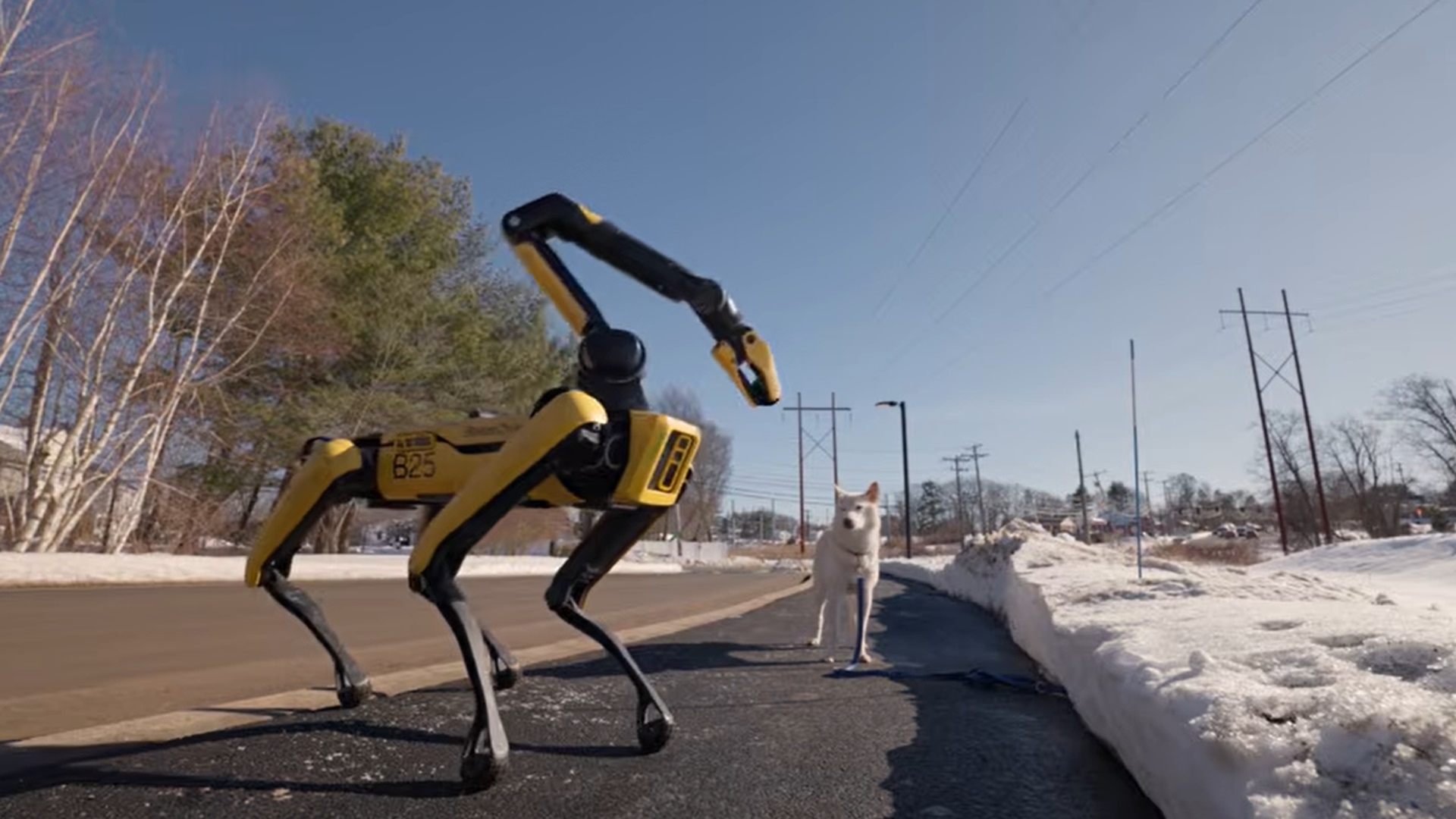 boston dynamics