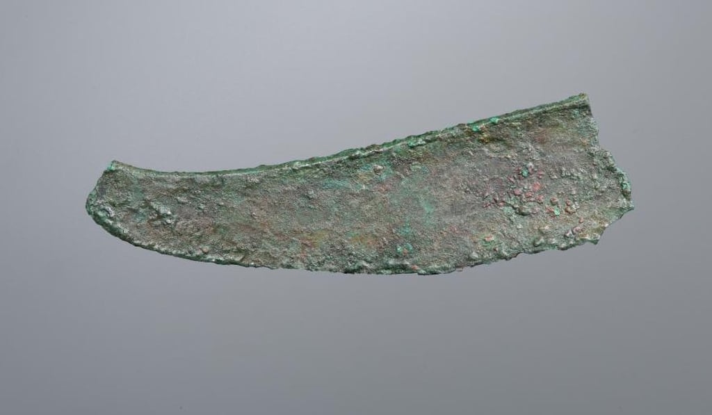 981bf843 68dc 4798 8189 38ed0fc3