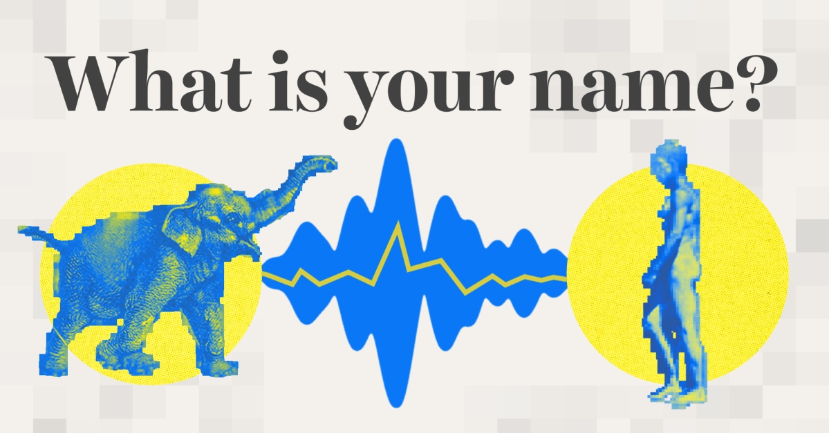 clean animal ai thumb