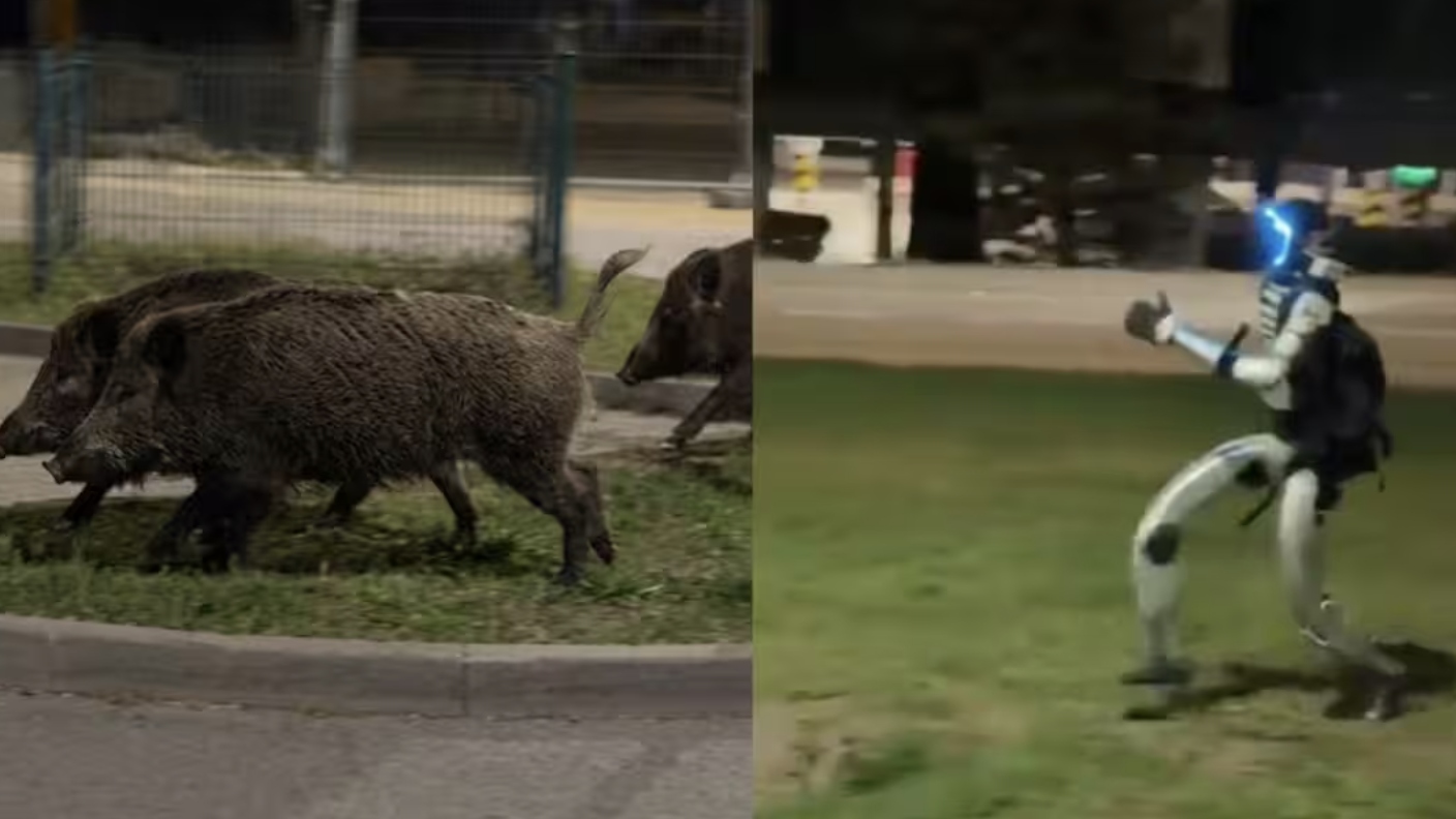 mag276wr3ratxmq247drxqz7oi