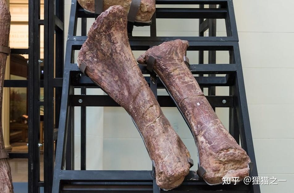 v2 ce25b8a6b08edc7911ce2bb08adbe