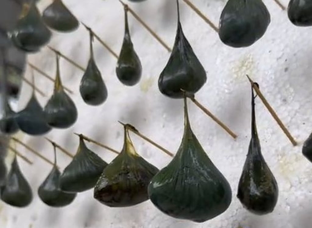 02e48bc3 9f94 4273 a3f5 cc173e9e