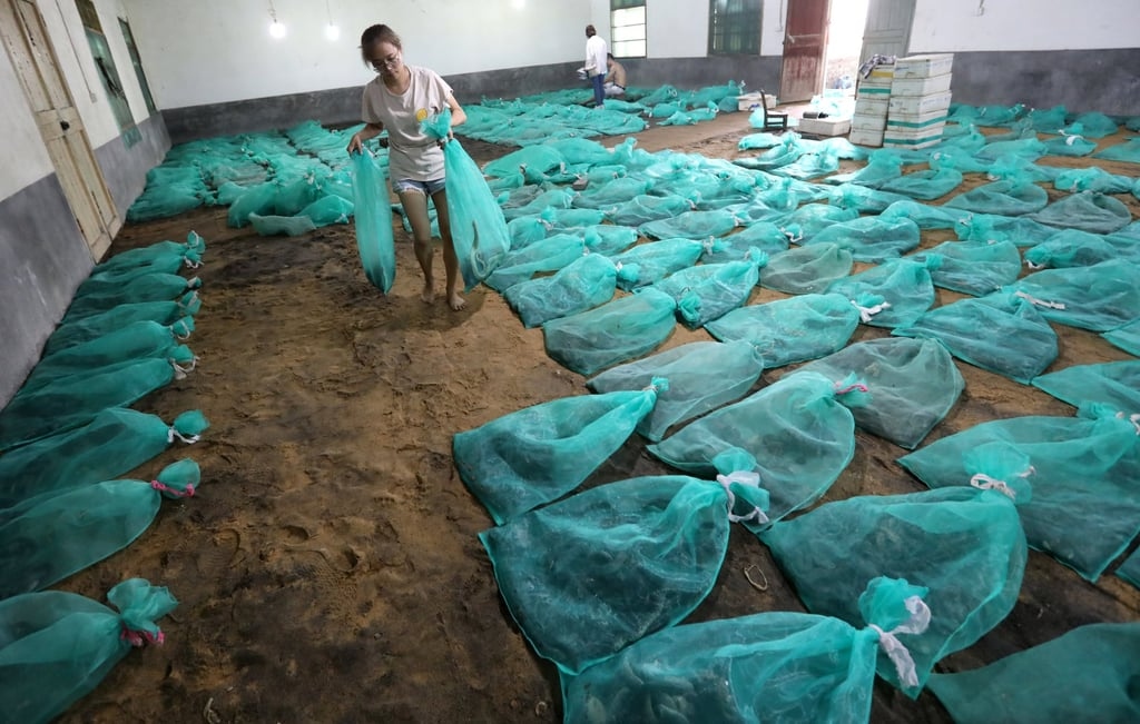 60156920 53f1 4b1b a6d9 191012f5