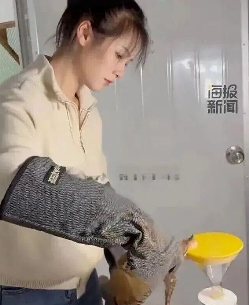 a17a7e68 2667 4559 b14e ea8d8443