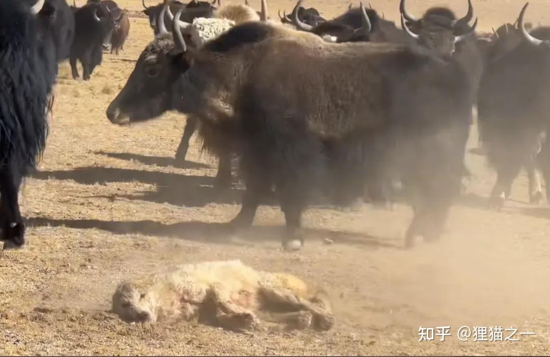 v2 9563103629d50e6813b2382c087b3