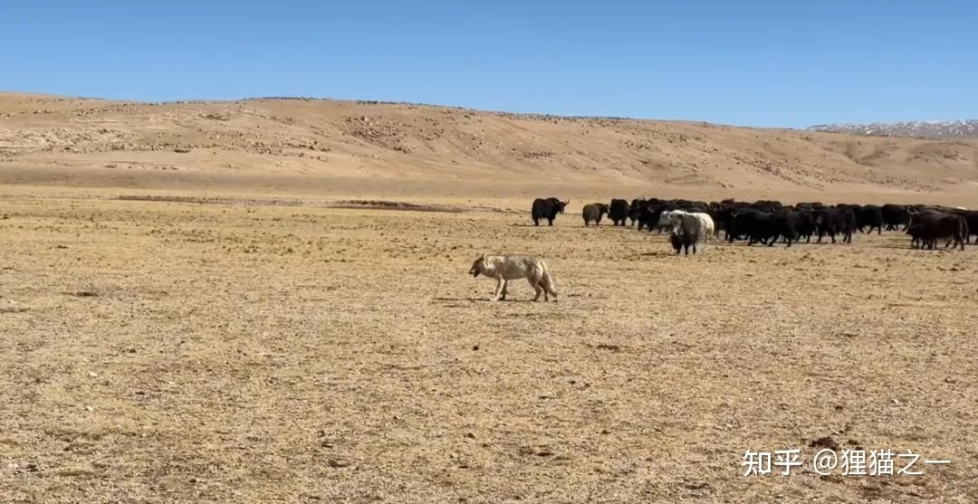 v2 9f45d4e943e0358eb9d0fd1a2e4af