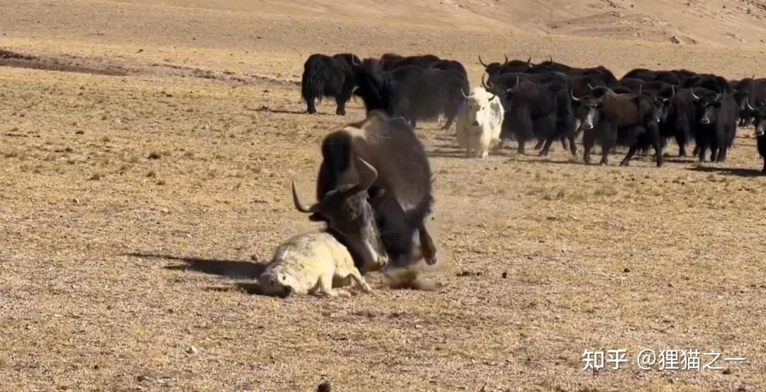 v2 be1a0c9890ff03ff9dafa060ea90a