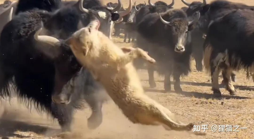 v2 f7cdf2adc9253cca31dcb0347d0ca