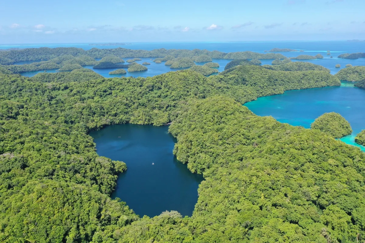jelly lake l