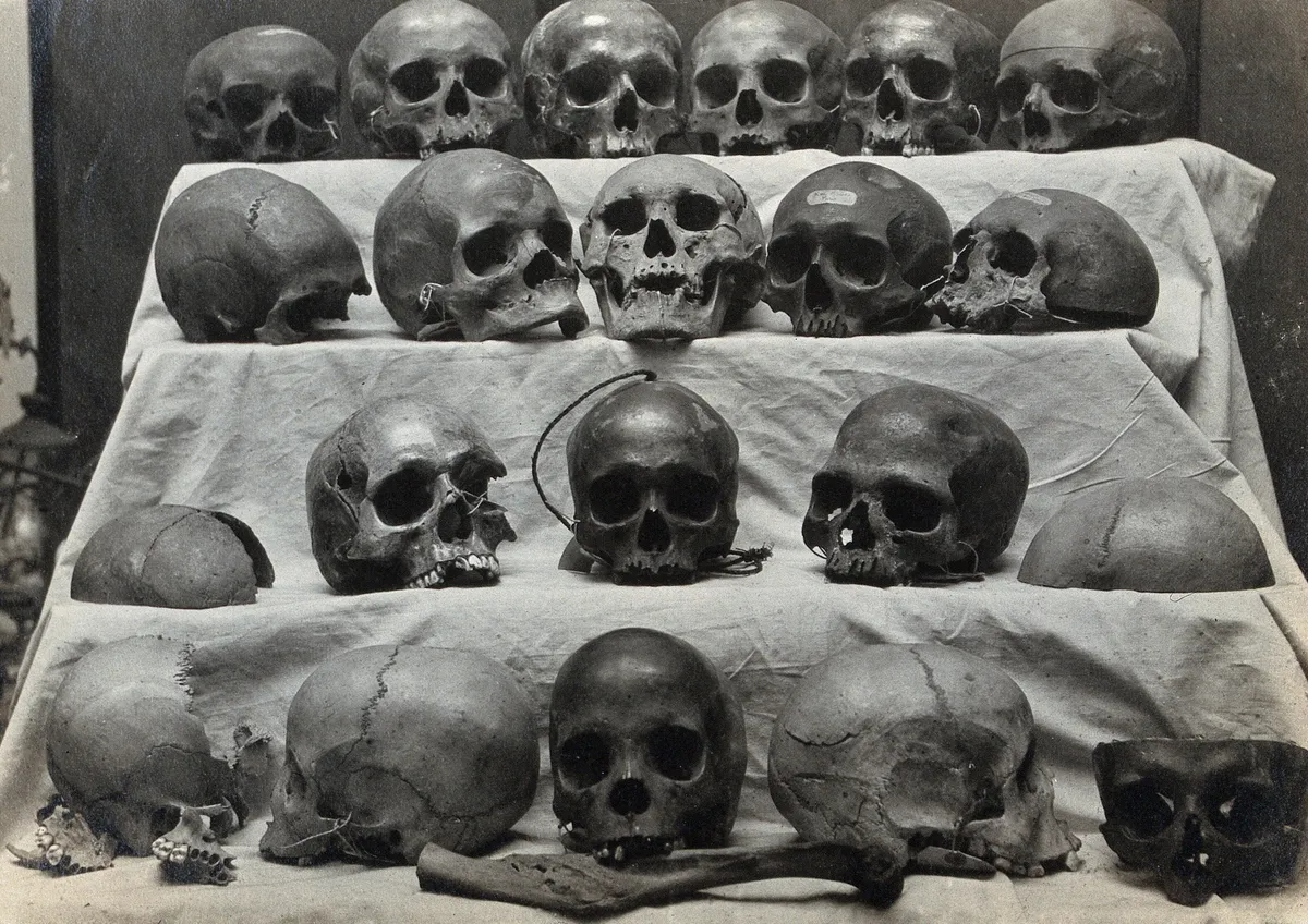 skull l