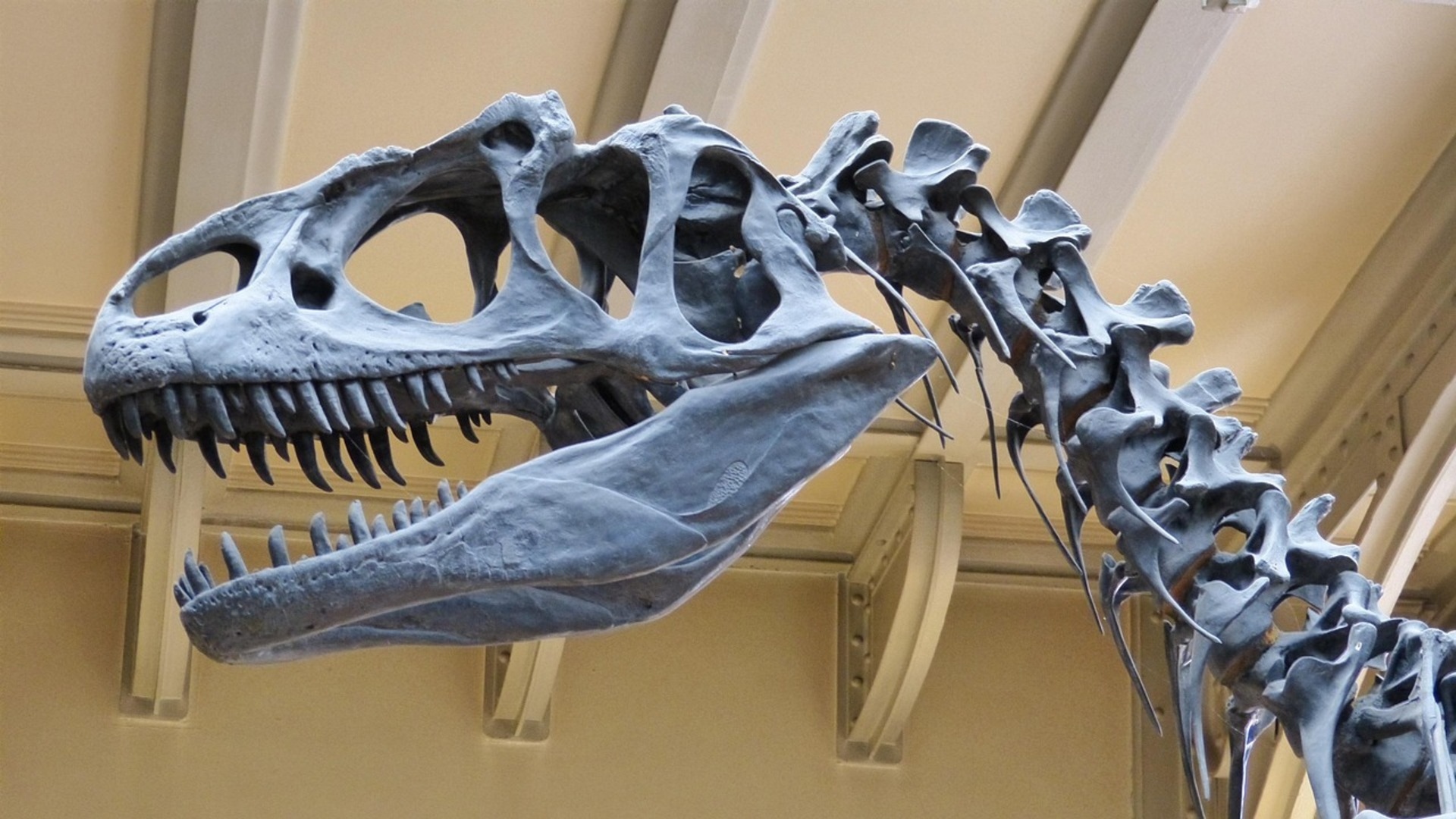 museum 3677301280