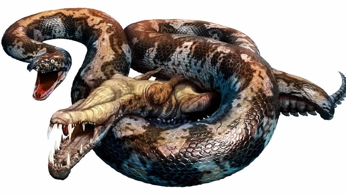 indian fossils point to a giant