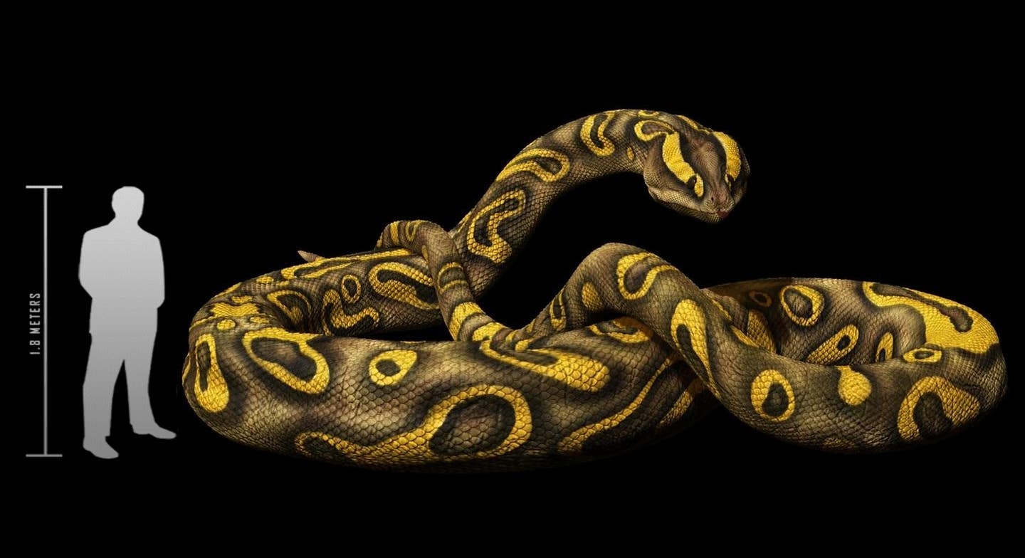 snake 1