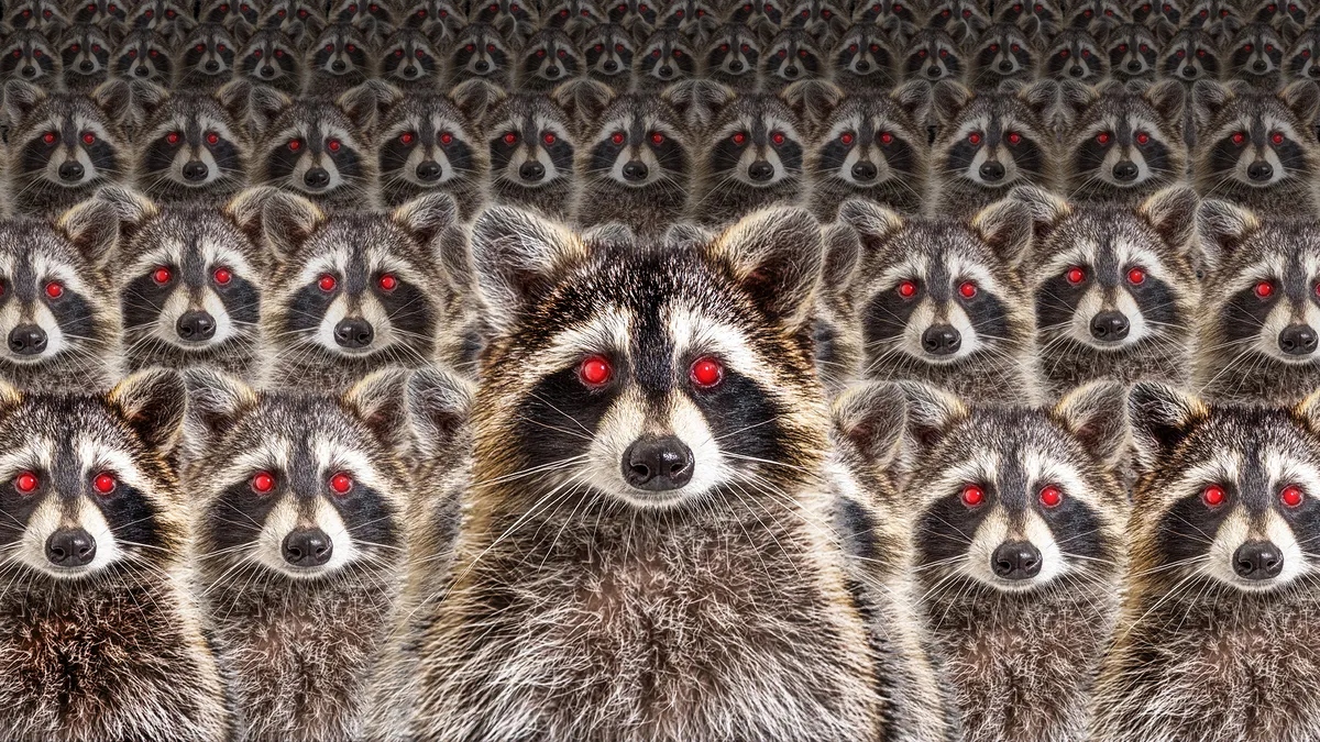 they re here l