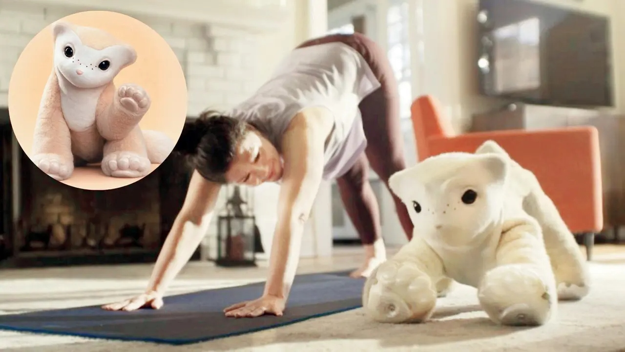“Cha đẻ robot hút bụi” quay lại khởi nghiệp: Tạo ra một “thú cưng cyber” hiểu cảm xúc con người
