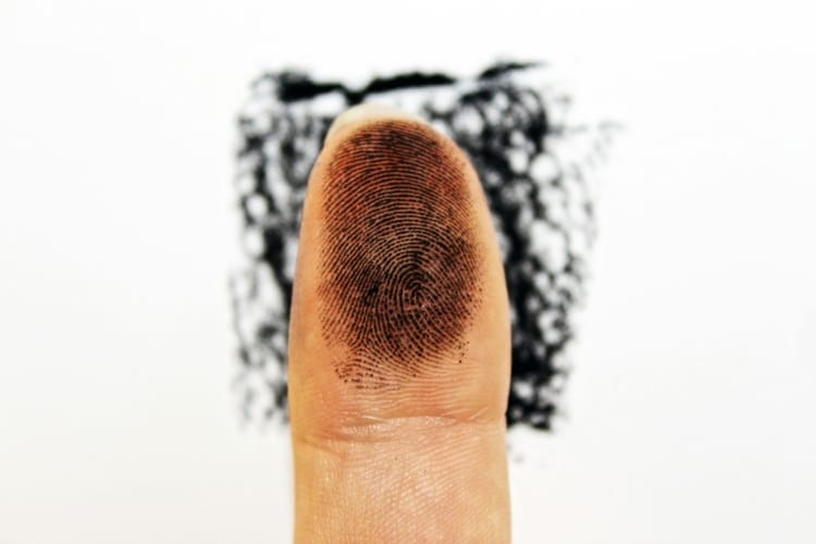 fingerprint