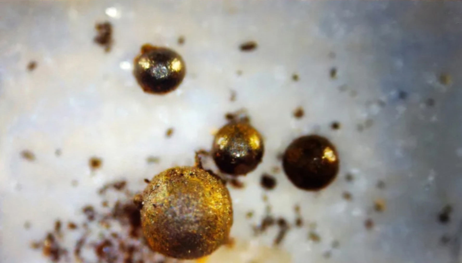 image12081e im1 spherules