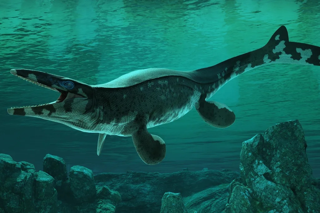 1btylosaurusrexreconstruction