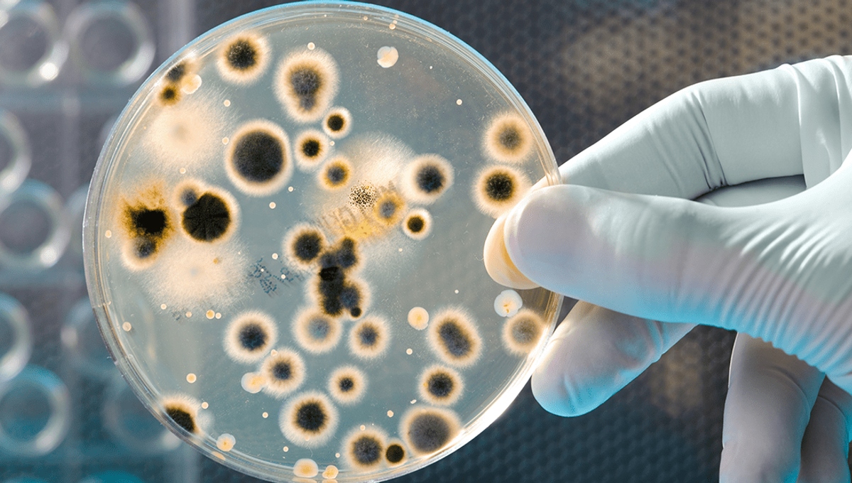 1615221620 bacteria growth o met