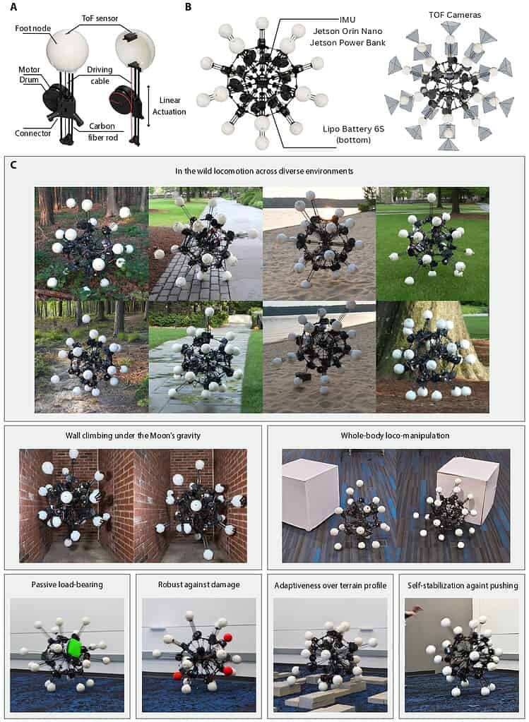 aec1725figurefig1seq1v1page
