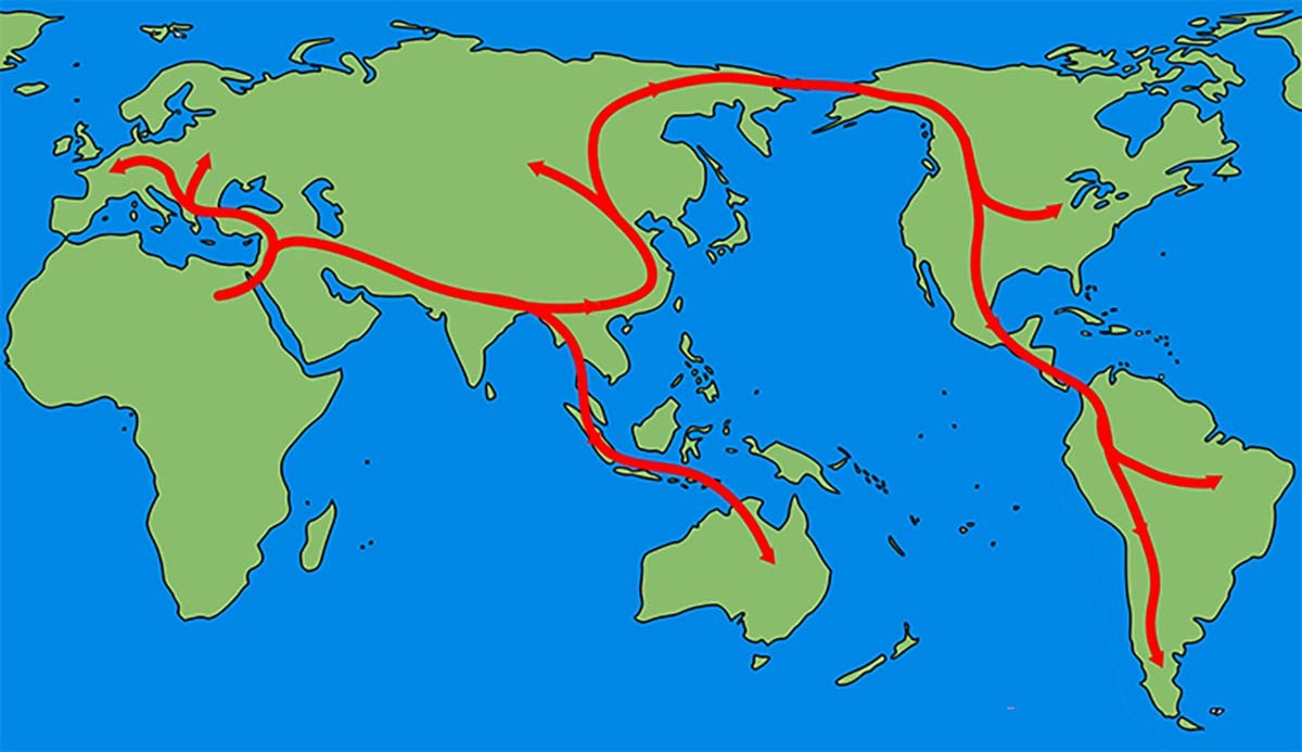 homo sapiens migration world map ancient migration route two column public domainjpgthumb19201920