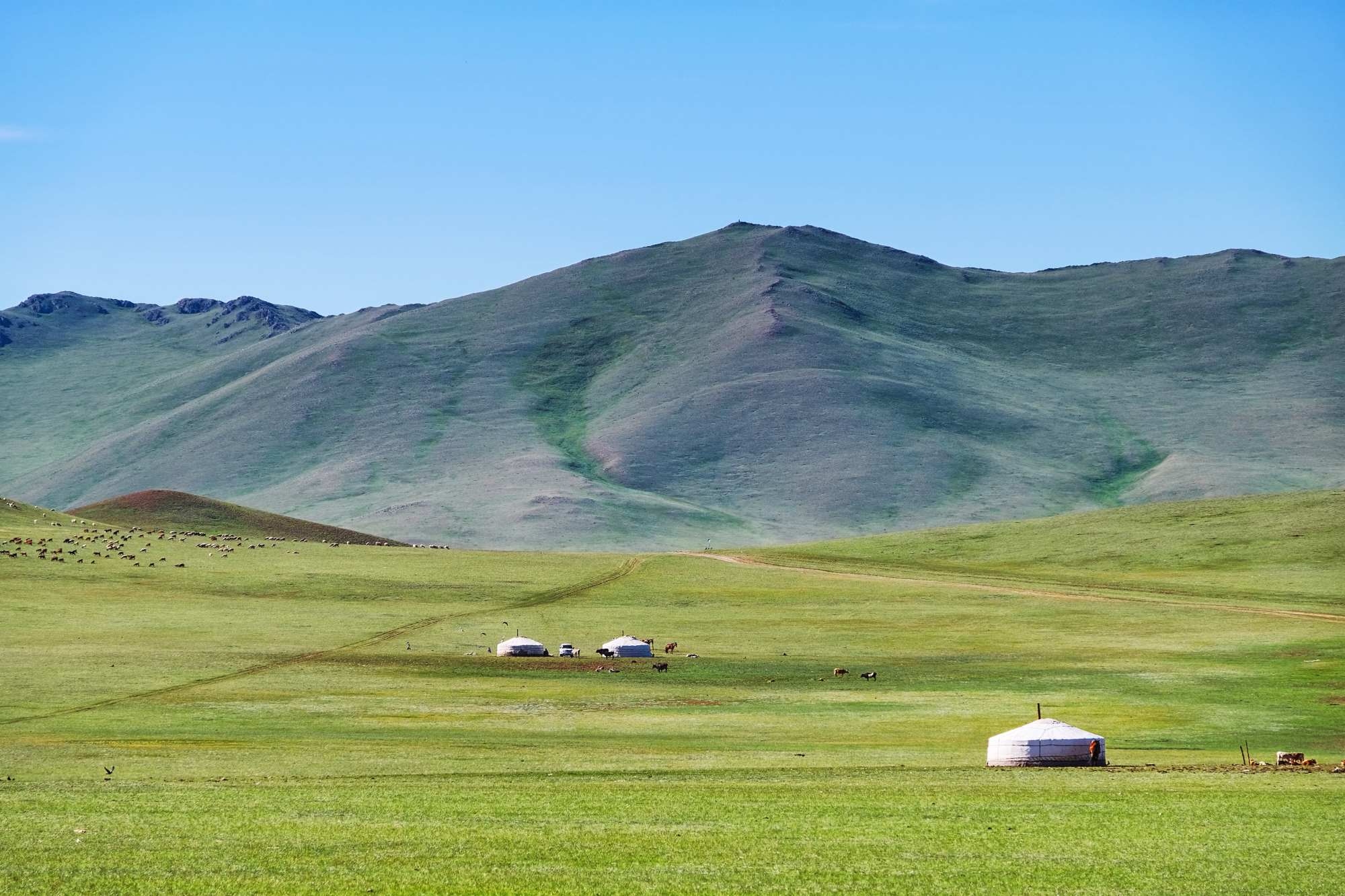 mongolia estepas 1