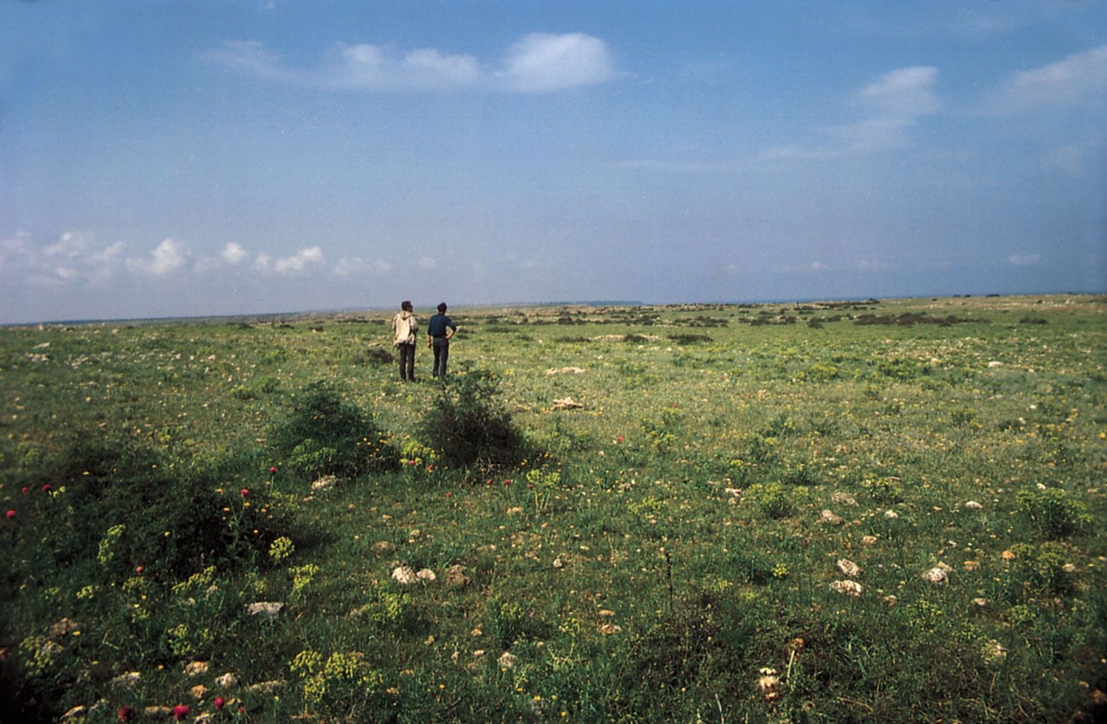 steppe grasslands point kaliakra