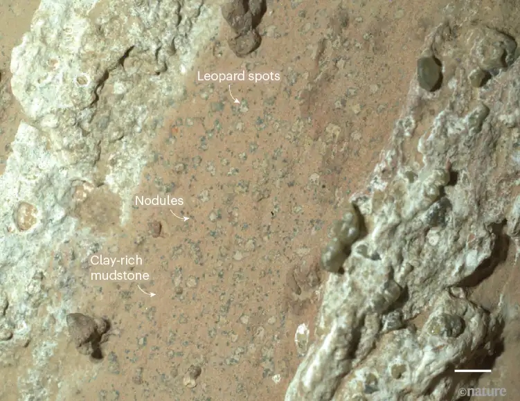 d41586 025 02597 551433724