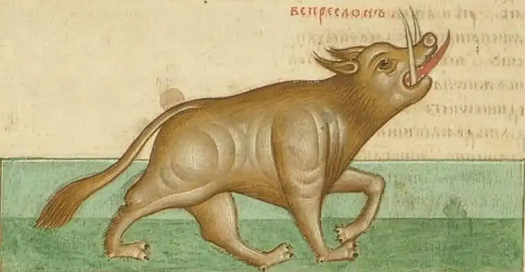 cosmas indicopleustess medieval