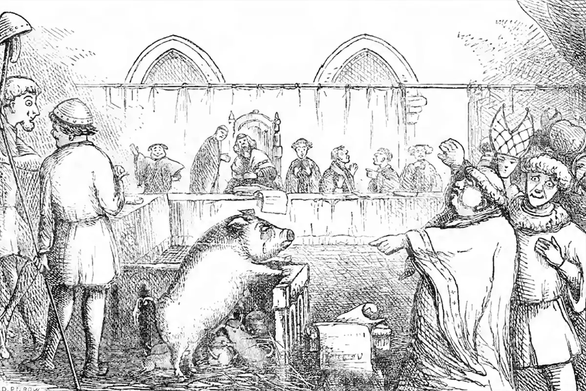 homicidalhogspigsontrial
