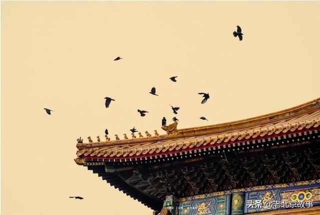 w700d1q75cms 1