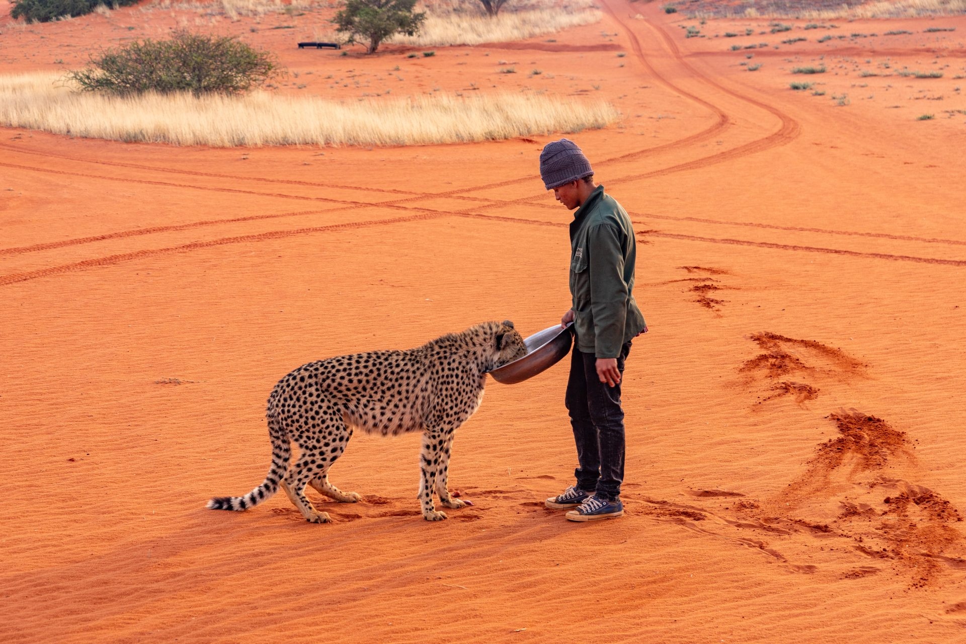 101622 kalahari bagatelle namibi